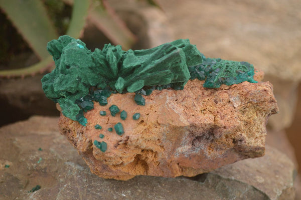 Natural Dioptase Specimen With Bladed Malachite & Azurite  x 1 From Likasi, Congo