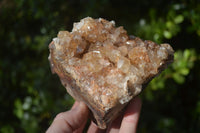 Natural Golden Limonite Quartz Clusters x 3 From Zambia