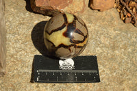 Polished Septarian (Calcite & Aragonite) Spheres  x 5 From Mahajanga, Madagascar - TopRock