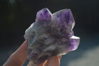 Natural Stone Sealed Amethyst Clusters  x 6 From Zambia - Toprock Gemstones and Minerals 