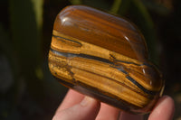 Polished Golden Tigers Eye Free Forms x 4 From Prieska, Northern Cape