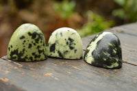 Polished Leopard Stone Standing Free Forms  x 12 From Nyanga & Shamva, Zimbabwe - TopRock