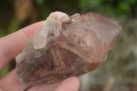 Natural Red Hematoid Quartz Specimens x 12 From Karoi, Zimbabwe - TopRock