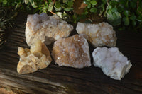 Natural Mixed Spirit Quartz Specimens x 5 From Boekenhouthoek, South Africa