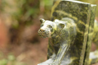 Polished Leopard Stone Lioness Book End Carvings  x 2 From Zimbabwe - TopRock