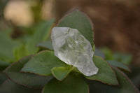 Natural Single Clear Quartz Crystals  x 70 From Zambia - TopRock