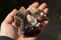 Natural Smokey Quartz With Aegirine & White Orthoclase Crystals  x 13 From Zomba Plateau, Malawi - TopRock