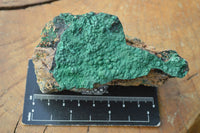 Natural Micro Botryoidal Malachite on Matrix Specimens x 6 From Tenke Fungurume, Congo - TopRock