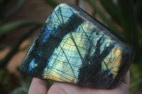 Polished Flashy Labradorite Standing Free Forms  x 3 From Tulear, Madagascar - TopRock