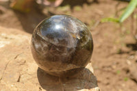 Polished Morion Smokey Quartz Spheres x 3 From Madagascar - TopRock