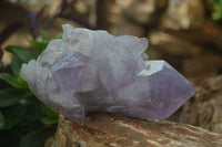 Natural Jacaranda Amethyst Clusters  x 3 From Mumbwa, Zambia - Toprock Gemstones and Minerals 