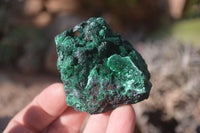 Natural Chatoyant Silky Malachite Specimens  x 12 From Kasompe, Congo