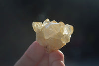 Natural Small Mixed Quartz Clusters  x 70 From Zambia - Toprock Gemstones and Minerals 