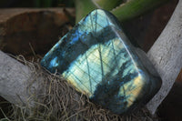 Polished Flashy Labradorite Standing Free Forms  x 3 From Tulear, Madagascar - TopRock