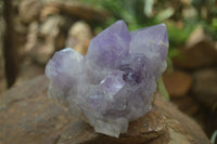 Natural Jacaranda Amethyst Clusters  x 3 From Mumbwa, Zambia - Toprock Gemstones and Minerals 