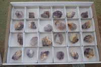 Natural Spirit Amethyst Quartz Crystals  x 24 From Boekenhouthoek, South Africa - Toprock Gemstones and Minerals 