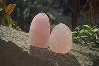 Polished Pink Rose Quartz Standing Free Forms x 3 From Antsirabe, Madagascar