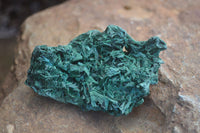 Natural Chatoyant Silky Malachite Specimens  x 12 From Kasompe, Congo - Toprock Gemstones and Minerals 