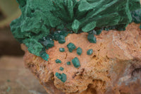 Natural Dioptase Specimen With Bladed Malachite & Azurite  x 1 From Likasi, Congo