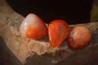 Polished  Mini Carnelian Agate Tumble Stones  x 1 Kg Lot From Madagascar