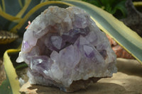 Natural Jacaranda Amethyst Cluster x 1 From Mumbwa, Zambia - TopRock