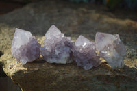 Natural Spirit Amethyst Quartz Crystals x 20 From Boekenhouthoek, South Africa