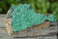 Natural Micro Botryoidal Malachite on Matrix Specimens x 6 From Tenke Fungurume, Congo - TopRock