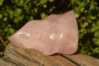 Polished Gemmy Pink Rose Quartz Flames  x 3 From Madagascar - TopRock