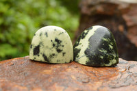 Polished Leopard Stone Standing Free Forms  x 12 From Nyanga & Shamva, Zimbabwe - TopRock