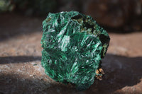 Natural Chatoyant Silky Malachite Specimens  x 12 From Kasompe, Congo