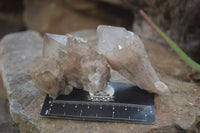 Natural Cascading Smokey Quartz Clusters x 6 From Luena, Congo