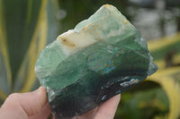 Polished Watermelon Fluorite Standing Slabs  x 4 From Namibia - TopRock