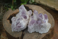 Natural Sugar Amethyst Clusters  x 6 From Solwezi, Zambia