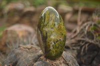 Polished Large Green Opal Standing Free Forms  x 6 From Madagascar - TopRock