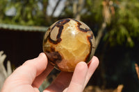 Polished Septarian (Calcite & Aragonite) Spheres  x 5 From Mahajanga, Madagascar - TopRock