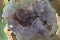 Natural Jacaranda Amethyst Cluster x 1 From Mumbwa, Zambia - TopRock