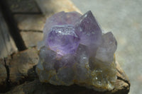 Natural Jacaranda Amethyst Clusters  x 3 From Mumbwa, Zambia - Toprock Gemstones and Minerals 