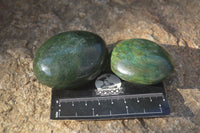 Polished Green Verdite Galet / Palm Stones x 12 From Zimbabwe