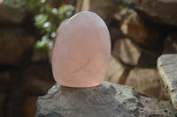 Polished Pink Rose Quartz Standing Free Forms x 3 From Antsirabe, Madagascar