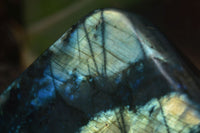 Polished Flashy Labradorite Standing Free Forms  x 3 From Tulear, Madagascar - TopRock