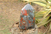 Polished Huge Bloodstone (Seftonite) Point With Pyrite Specks  x 1 From Swaziland - TopRock