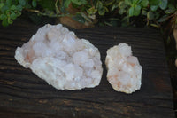 Natural White Spirit Cactus Quartz Clusters  x 2 From Boekenhouthoek, South Africa - Toprock Gemstones and Minerals 