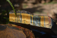 Natural Golden Blue Tigers Eye Specimens  x 2 From Prieska, South Africa - TopRock