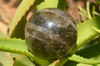 Polished Morion Smokey Quartz Spheres x 3 From Madagascar - TopRock