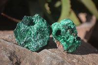 Natural Chatoyant Silky Malachite Specimens  x 12 From Kasompe, Congo