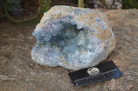 Natural Blue Celestite Geode Specimen  x 1 From Sakoany, Madagascar