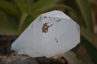 Natural Icey Etched Self Healed Quartz Crystals  x 3 From Madagascar