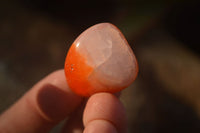 Polished  Mini Carnelian Agate Tumble Stones  x 1 Kg Lot From Madagascar