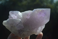 Natural Jacaranda Amethyst Clusters  x 3 From Mumbwa, Zambia - Toprock Gemstones and Minerals 