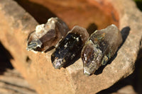 Natural Smokey Quartz With Aegirine & White Orthoclase Crystals  x 13 From Zomba Plateau, Malawi - TopRock